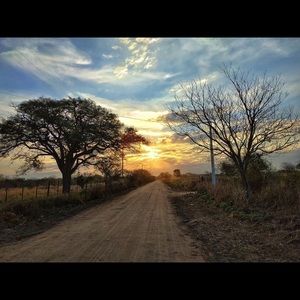 Meet your Posher, Leticia